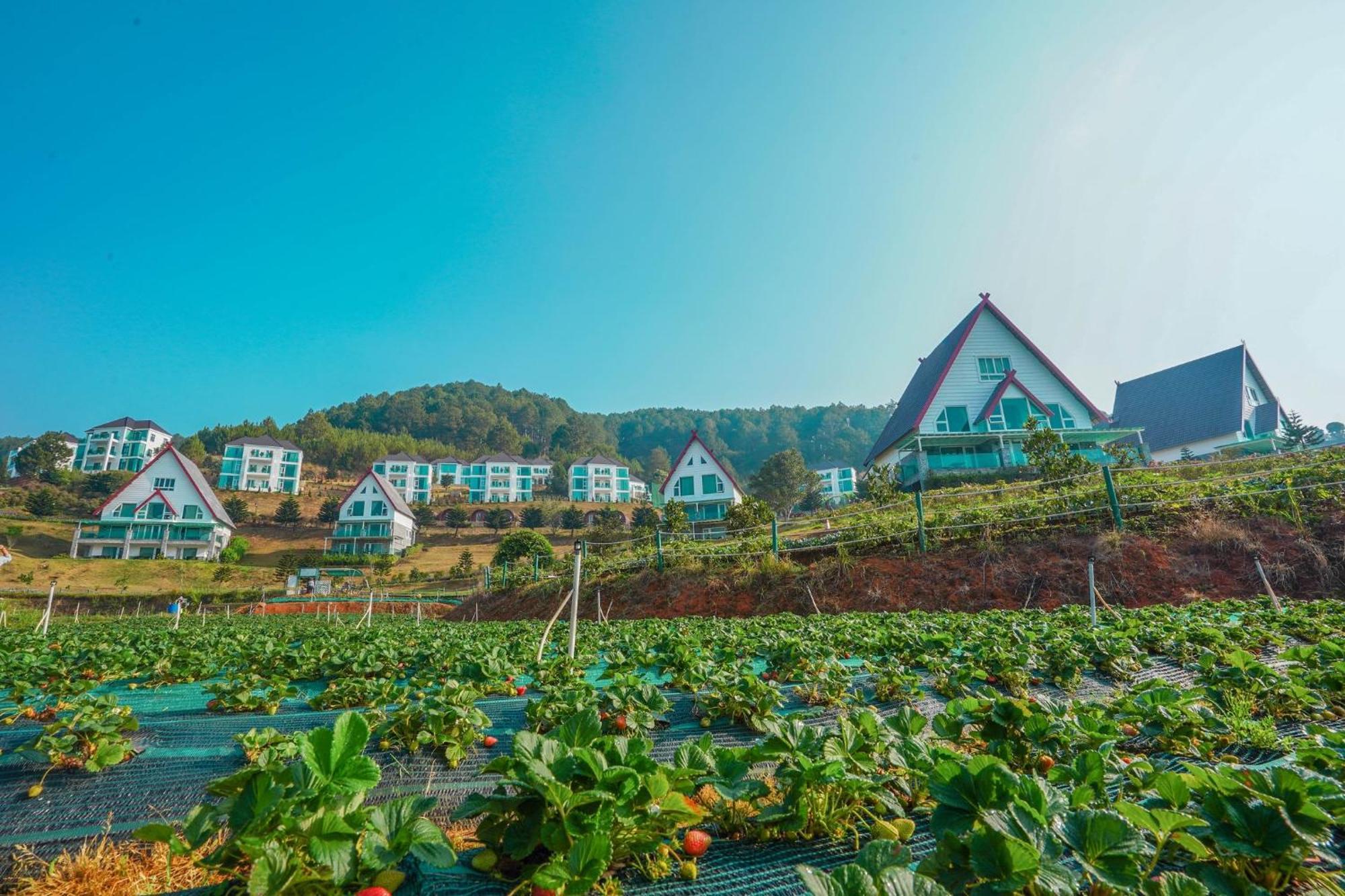 Dalat Wonder Resort Exterior foto